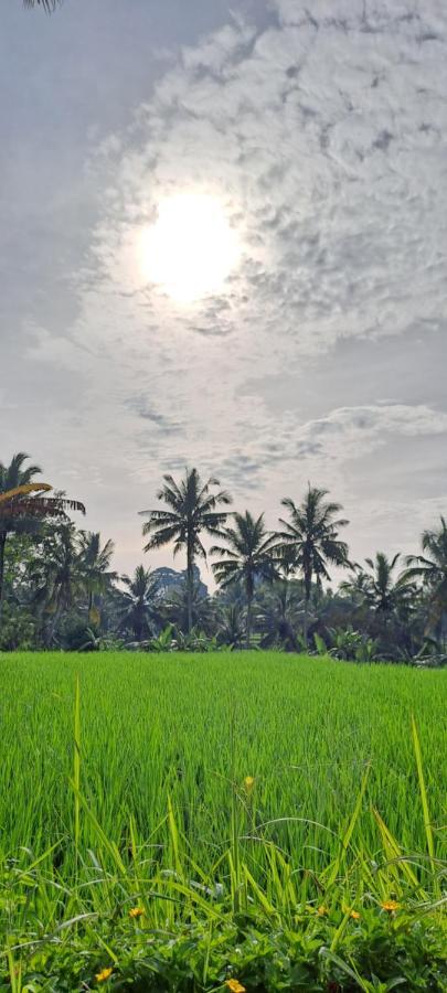 Galang Hari Villa Ubud Exteriér fotografie