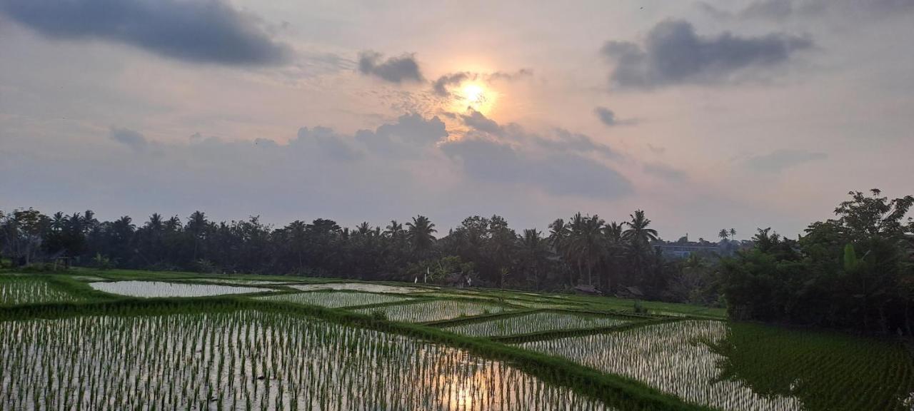 Galang Hari Villa Ubud Exteriér fotografie