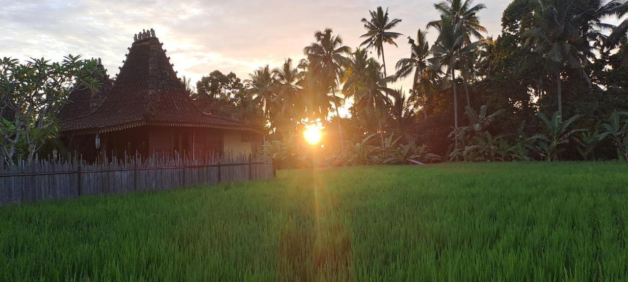 Galang Hari Villa Ubud Exteriér fotografie
