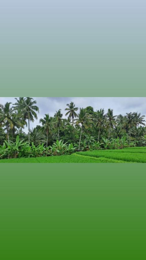 Galang Hari Villa Ubud Exteriér fotografie