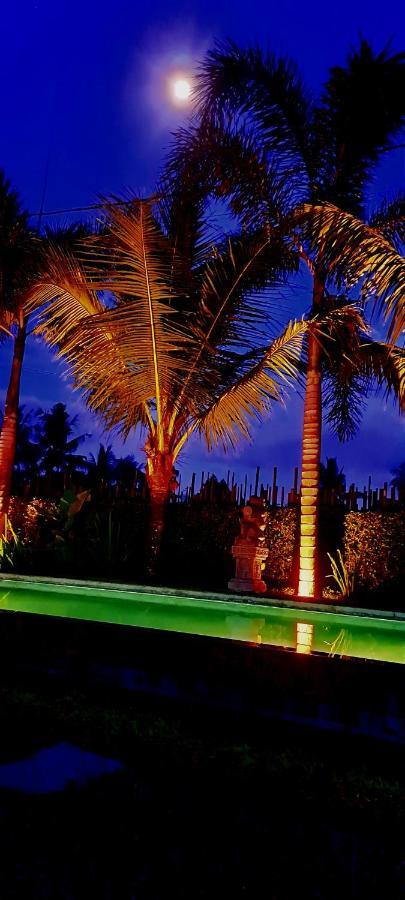Galang Hari Villa Ubud Exteriér fotografie