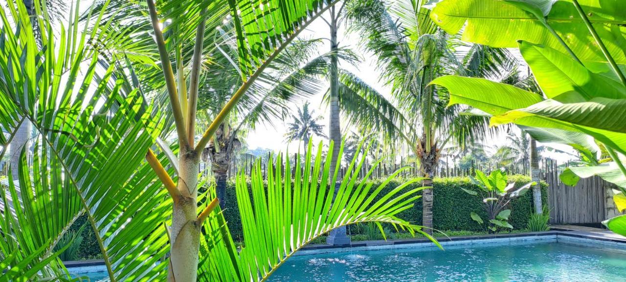 Galang Hari Villa Ubud Exteriér fotografie