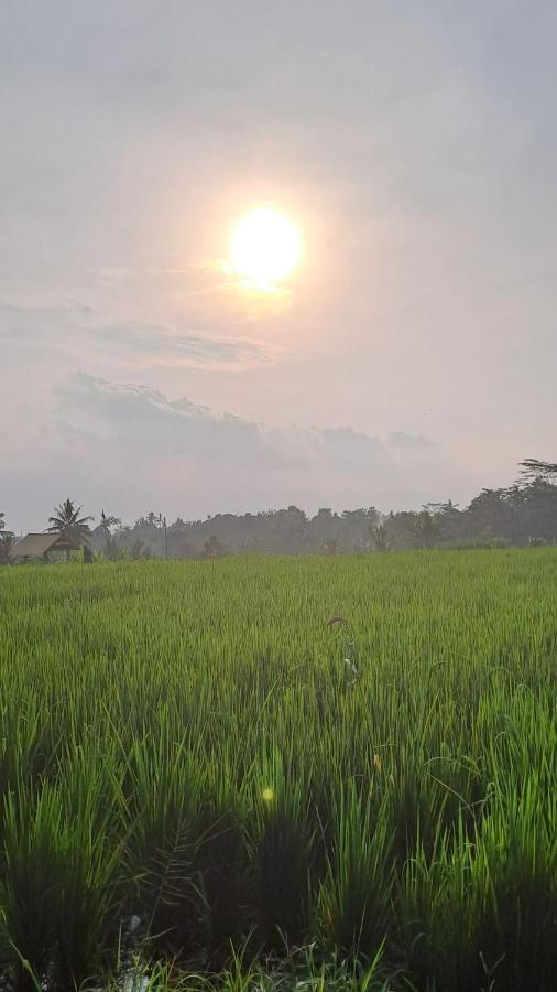 Galang Hari Villa Ubud Exteriér fotografie