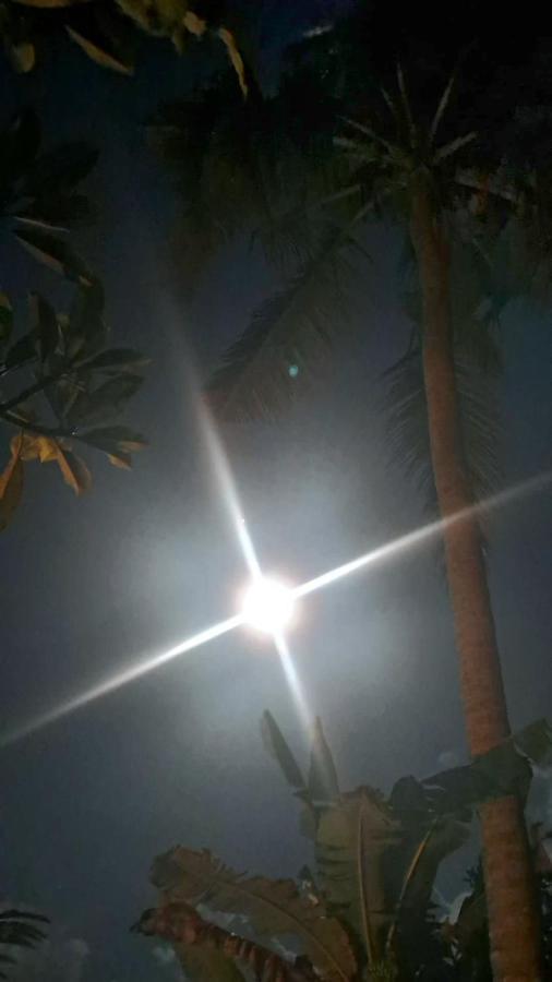 Galang Hari Villa Ubud Exteriér fotografie