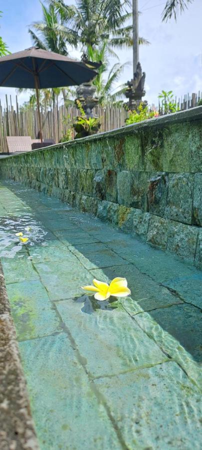 Galang Hari Villa Ubud Exteriér fotografie