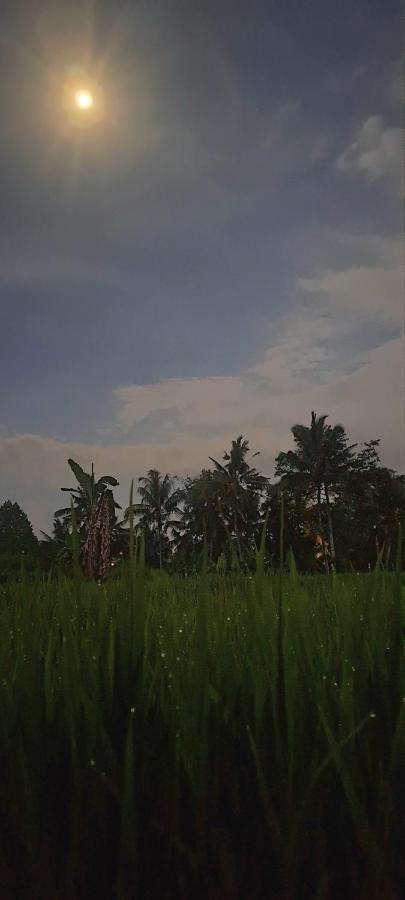 Galang Hari Villa Ubud Exteriér fotografie