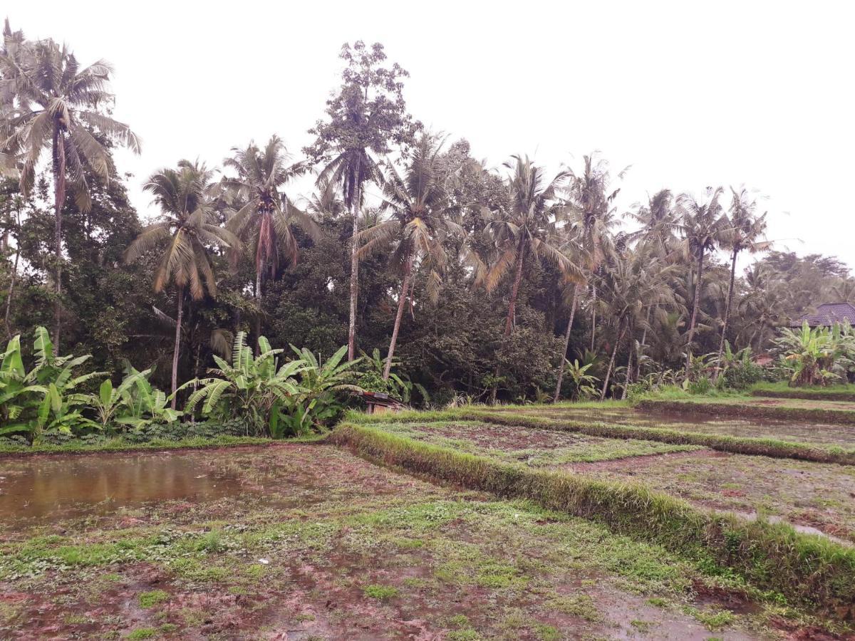 Galang Hari Villa Ubud Exteriér fotografie